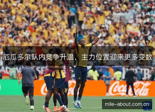 厄瓜多尔队内竞争升温,主力位置迎来更多变数 厄瓜多尔队内竞争升温,主力位置迎来更多变数